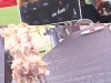 051